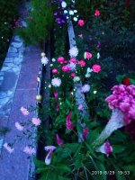 IMG-20190829-WA0033.jpg