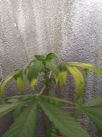 20190830_062253.jpg