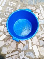 IMG-20190831-WA0015.jpg