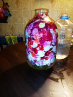 IMG-20190831-WA0005.jpg