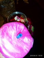 IMG-20190831-WA0010.jpg
