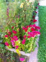 IMG-20190901-WA0031.jpg