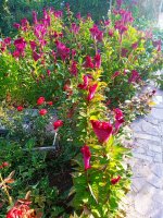 IMG-20190901-WA0028.jpg