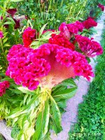 IMG-20190901-WA0022.jpg