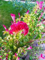 IMG-20190901-WA0020.jpg