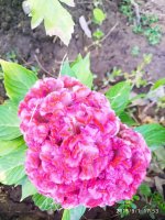 IMG-20190901-WA0017.jpg