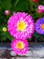 IMG-20190901-WA0013.jpg