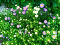 IMG-20190901-WA0012.jpg