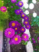 IMG-20190901-WA0011.jpg