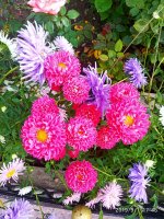 IMG-20190901-WA0010.jpg