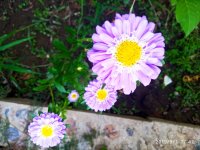 IMG-20190901-WA0007.jpg