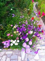 IMG-20190901-WA0006.jpg