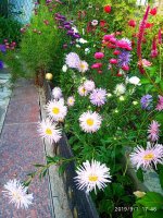 IMG-20190901-WA0005.jpg