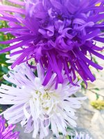 IMG-20190901-WA0004.jpg