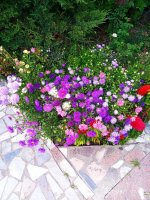 IMG-20190901-WA0001.jpg