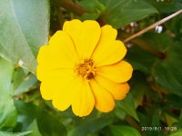 IMG-20190901-WA0067.jpg