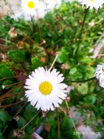 IMG-20190901-WA0065.jpg