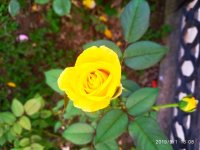IMG-20190901-WA0063.jpg
