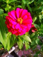 IMG-20190901-WA0062.jpg