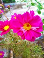 IMG-20190901-WA0061.jpg