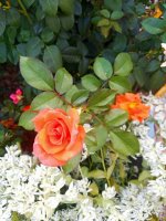 IMG-20190901-WA0060.jpg