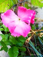 IMG-20190901-WA0059.jpg