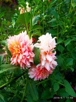 IMG-20190901-WA0058.jpg