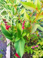 IMG-20190901-WA0057.jpg