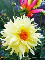 IMG-20190901-WA0056.jpg