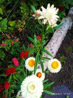 IMG-20190901-WA0052.jpg