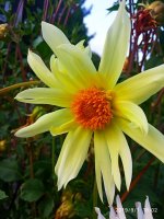 IMG-20190901-WA0050.jpg
