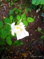 IMG-20190901-WA0047.jpg