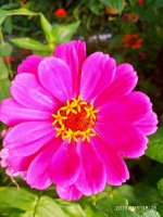 IMG-20190901-WA0046.jpg