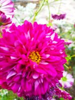 IMG-20190901-WA0045.jpg