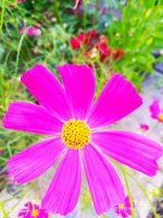 IMG-20190901-WA0044.jpg