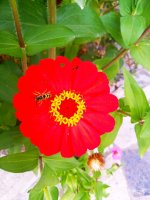 IMG-20190901-WA0043.jpg