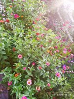 IMG-20190901-WA0041.jpg