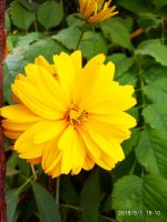 IMG-20190901-WA0040.jpg