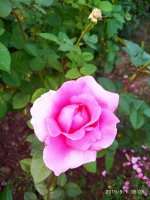 IMG-20190901-WA0039.jpg