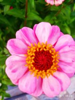 IMG-20190901-WA0038.jpg