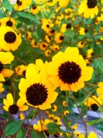 IMG-20190901-WA0035.jpg
