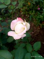IMG-20190901-WA0034.jpg