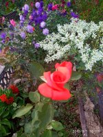 IMG-20190901-WA0033.jpg