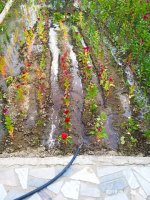 IMG-20190901-WA0068.jpg