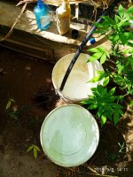 IMG-20190902-WA0007.jpg
