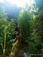 IMG-20190902-WA0016.jpg