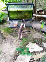 IMG-20190902-WA0029.jpg