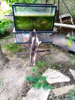 IMG-20190902-WA0030.jpg