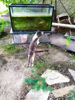 IMG-20190902-WA0032.jpg