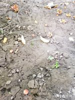 IMG-20190902-WA0034.jpg